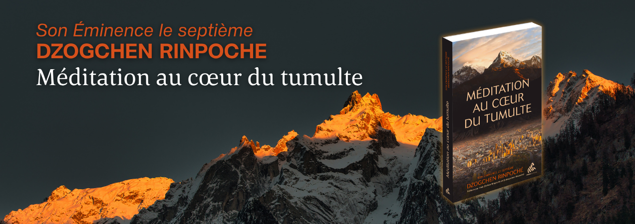 meditation-au-coeur-du-tumulte