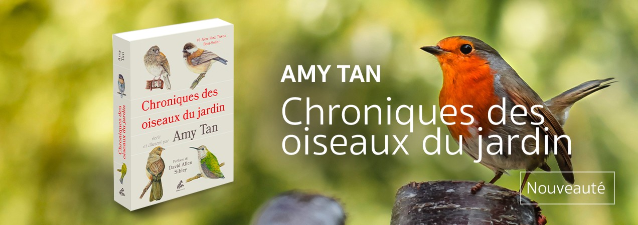chroniques-des-oiseaux-du-jardin