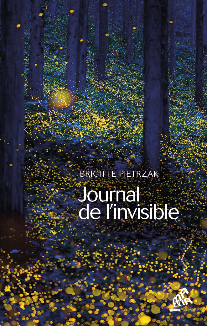 Journal de l’invisible