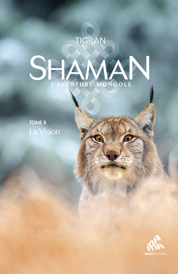 Shaman, La trilogie  : Tome II, La Vision